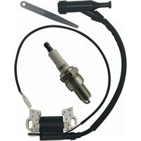 GX390 ignition coil assembly for Honda and Predator 420cc and 301cc clones, GX270 and GX340 339cc, 389cc and 439cc motor generators (9, 11, 13 and 15 HP)--DTEKGAZ