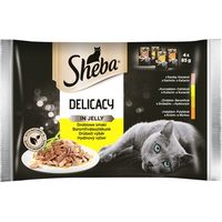 Sheba Delikatesse in Gelee – Nassfutter für ausgewachsene Katzen, Geflügelgeschmack in Gelee, 4 x 85 g