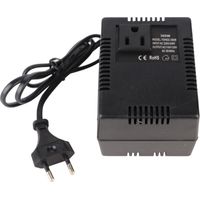 Transformateur de puissance 300W Convertisseur de tension AC 220V à 110V EU Plug AdapterEU Plug