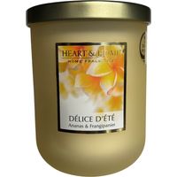Grande bougie parfumée délice dété 320 g