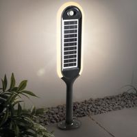 esotec Solar lampe d'allée avec module solaire des deux côtés lampe solaire outdoor 102272