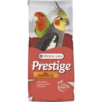 Prestige Big Parkekets reproduisant 20 kg