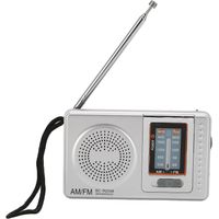 Radio FM Portable, Mini Lecteur de Musique Radio Numérique Puce Radio à Transistor AM FM avec Haut-Parleur, Lecteur de Musique FM Portable, pour la Maison, Le Divertissement, Le