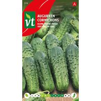 Cornichon Vert petit de Paris - Ca. 3 gr (Livraison Gratuite)