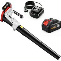 Soffiatore per Foglie Cordless con Batteria da 4000mAh e Caricatore, 18V, Leggero con 6 Livelli di Velocità