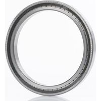 INA Zylinderrollenlager SL182944 -C3 Innen-Ø 220 mm Außen-Ø 300 mmBreite48 mm
