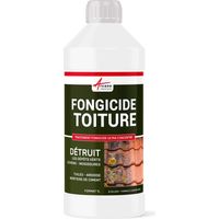Arcane Industries – Antimousse toiture ultra concentré – Élimine mousses, lichens, algues – Traitement toiture tuiles, ardoises – 1 L pour 250 m²