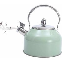 Dontodent Bouilloire à Sifflet, Bouilloire Sifflante en INOX 3L, Bouilloire Théière Sifflante Bouilloire A Sifflet, pour Cuisinière à GA-z, électrique Et Céramique