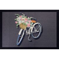 BROCANT BIKE GREY 40X60 GAMME ENTRY VICA 100031-105