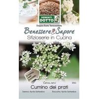 SEMENTI CUMINO