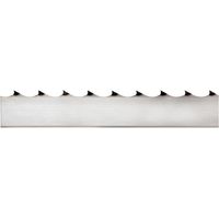 LAME SCIE RUBAN C75 TREMPE GRUME 27x0,9 PAS 22 MM - 128270922 - LEMAN