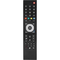 Service de remplacement Smart TV Télécommande pour GRUNDIG TV TP7187R