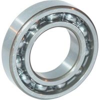 Rodamiento de bolas de ranura profunda 17 x 40 x 12 mm INA/FAG FFAG INA 6203