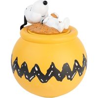 Boîte de biscuits Snoopy pour chiens, 340 g, friandises croquantes
