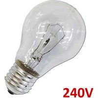 Bombilla incandescente estándar clara 100w e27 solo uso industrial