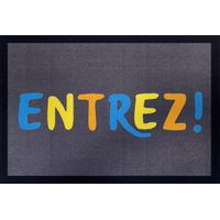 ENTRER GREY/FC 40X60 GAMME ENTRY VICA 100031-091