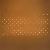 Filet lumineux 2X1M 120 LED ambrée prolongeable extérieur 31V câble blanc IP44 SMART Connect Lotti