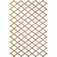 Treillis extensible en bois 100 x 200 cm – Traitement autoclave IV – Pour murs et écrans floraux – Résistant aux intempéries – Nature