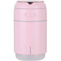 Mini miroir de maquillage humidificateur 2 en 1 à ultrasons
