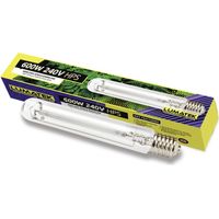 Ampoule 600W Dual Spectrum LUMATEK