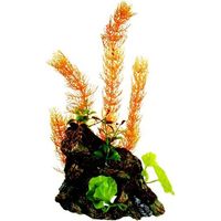 Marina dco bois tronc avec plantes l