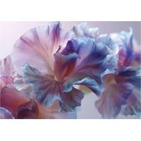 Papier peint mural fleurs abstraites intissé grand format design intérieur salon chambre pas cher 350x250 cm