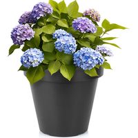 Pot de jardin en plastique noir rond 39 cm