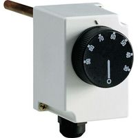 Thermostat industriel mécanique Perry Electric 1TCTB065 30 à 90 °C S87189
