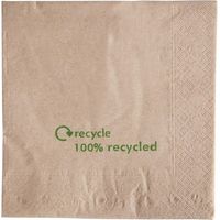 Serviettes double épaisseur en papier recyclé 330 mm - Carton de 2000