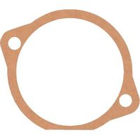 Guarnizione 0,1 mm MASCHIO M10100161R