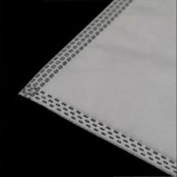 12 sacs à poussière pour aspirateur Thomas Anti Allergy Aqua THOMAS PET & FAMILY Accessoires pour aspirateur Thomas Pantner()