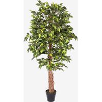 HOMESCAPES Green Artificial Ficus Tree with Twisted Real Wood Trunk, 6 Ft