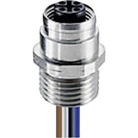 Lumberg Automation 108776 Connettore confezionato per sensore o attuatore M12 Presa 0.50 m Numero di poli: 4 1 pz.
