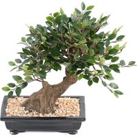 Bonsaï Orme de Chine Artificiel H 30 cm D 28 cm en pot - dimhaut: H 30 cm - couleur: Vert