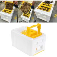 Boîte d'accouplement pour reines abeilles Mini Ruche en mousse haute densité, équipement apicole pour pollinisation