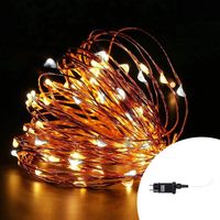 Stringa 30 metri da 300 Microled Bianco Caldo fisso e Bianco Freddo intermittente con cavo in rame Wisdom