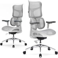 SIHOO Doro S100 Ergonomic Office Chair - with Dual Dynamic Lumbar Support, 5-Level Adjustable Backrest, 4D Coordinated Armrests, 135-degree Max. Recline Angle, Suitable for Home Office (S100 White)