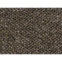 Tapis d'entrée intérieur ZWINGER 60x90cm Taupe