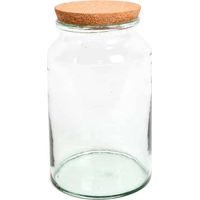 Esschert Design – Bouteille terrarium en verre recyclé avec couvercle – 7 L – Hauteur 32.3 cm – Diamètre 18.5 cm – Pour intérieur