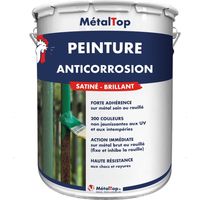 Peinture Anticorrosion - Jaune soleil - RAL 1037 - 5 L - Métaltop