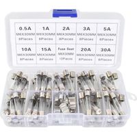 72 fusibili, 6x30mm, in vetro, 9 valori, 250V, con portafusibili, per uso automobilistico