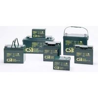 CSB Battery EVX 12400 EVX12400-I1 Batteria al piombo 12 V 40 Ah Piombo-AGM (L x A x P) 197 x 170 x 165 mm Vite M5
