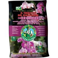 TERRICCIO ORCHIDEE TERRIFLORA