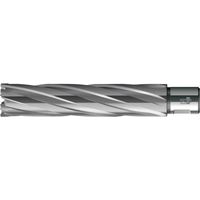 HKE-L Weldon HM extralungo 41/110 mm BDS trapano trapano