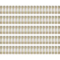 100 Fusibles AGU verre dore 10A