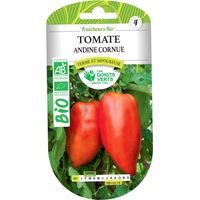 Semi di pomodoro andino cornuto BIO Le Dita Verdi