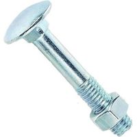 Boulon classique pour bois dur tête ronde collet carré zingué blanc – Longueur 50mm – Diamètre 8mm – Boîte de 100 pièces – Viswood