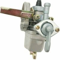 Vergaser für Robin NB411 BG411 49cc Freischneider Weedeater Trimmer