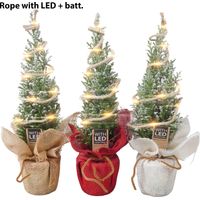 Ellwoodii, o Falso Cipresso, con led versione natalizia H 32 CM Foto reali