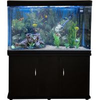 MonsterShop - Acquario 300 Litri con Armadietto Nero e Kit con Piante e Ghiaia Bianca 143cm x 120cm x 39cm